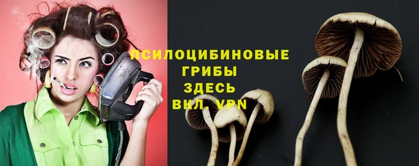 спиды Алексин