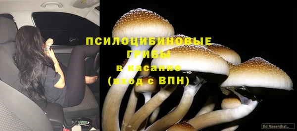 дмт Абинск