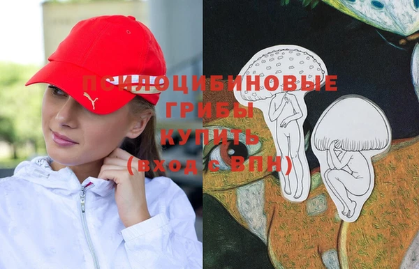 дмт Абинск