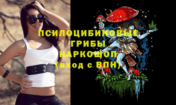 спиды Алексин