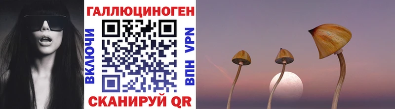 Галлюциногенные грибы Cubensis  Звенигород 